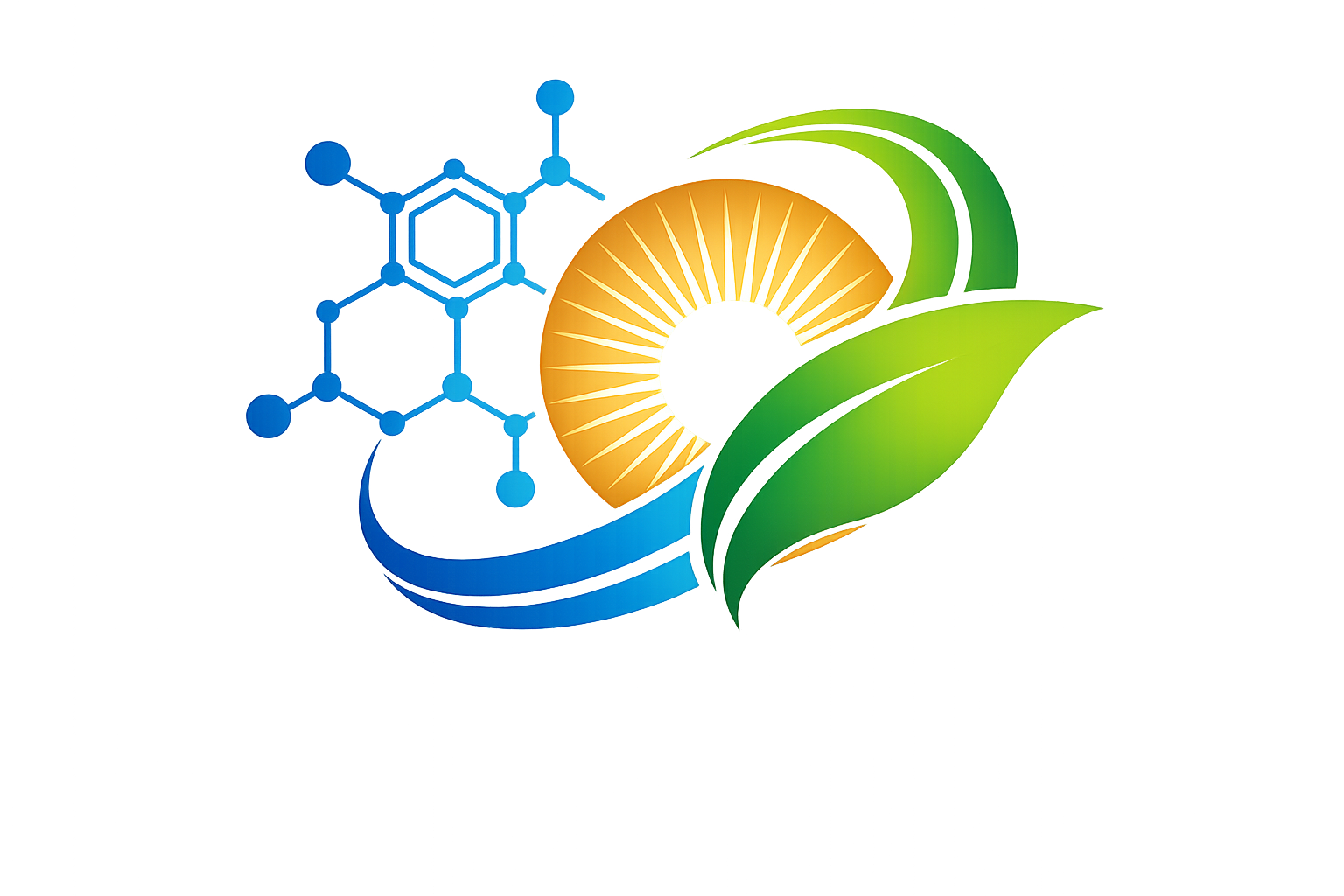 国家能源集团原新疆能源公司党委委员、副总
