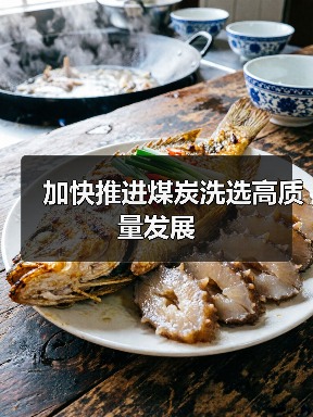 加快推进煤炭洗选高质量发展(图4) 加快推进煤炭洗选高质量发展(图4)