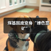 煤基固废变身“绿色富矿”(图2) 煤基固废变身“绿色富矿”(图2)