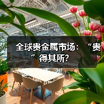 全球贵金属市场:“贵”得其所?(图2) 全球贵金属市场:“贵”得其所?(图2)