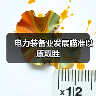 电力装备业发展瞄准以质取胜(图2) 电力装备业发展瞄准以质取胜(图2)