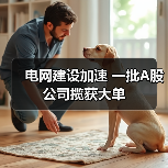 电网建设加速 一批A股公司揽获大单(图2) 电网建设加速 一批A股公司揽获大单(图2)