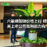 六氟磷酸锂价格上行 相关上市公司盈利能力有望修复(图3) 六氟磷酸锂价格上行 相关上市公司盈利能力有望修复(图3)