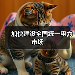 加快建设全国统一电力市场(图3) 加快建设全国统一电力市场(图3)