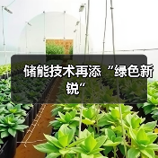储能技术再添“绿色新锐”(图2) 储能技术再添“绿色新锐”(图2)