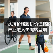 从拼价格到拼价值储能 产业进入关键转型期(图1) 从拼价格到拼价值储能 产业进入关键转型期(图1)