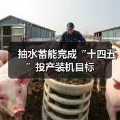 抽水蓄能完成“十四五”投产装机目标(图4) 抽水蓄能完成“十四五”投产装机目标(图4)
