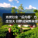 光伏行业“反内卷”力度加大 创新成突围关键(图3) 光伏行业“反内卷”力度加大 创新成突围关键(图3)