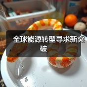 全球能源转型寻求新突破(图4) 全球能源转型寻求新突破(图4)