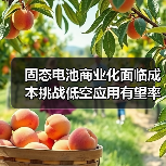 固态电池商业化面临成本挑战低空应用有望率先破局(图1) 固态电池商业化面临成本挑战低空应用有望率先破局(图1)