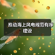 推动海上风电规范有序建设(图4) 推动海上风电规范有序建设(图4)
