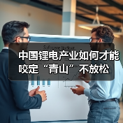 中国锂电产业如何才能咬定“青山”不放松(图2) 中国锂电产业如何才能咬定“青山”不放松(图2)