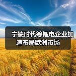 宁德时代等锂电企业加速布局欧洲市场(图3) 宁德时代等锂电企业加速布局欧洲市场(图3)