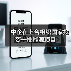中企在上合组织国家投资一批能源项目(图2) 中企在上合组织国家投资一批能源项目(图2)