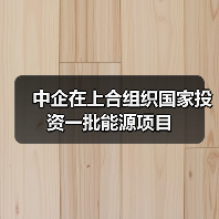 中企在上合组织国家投资一批能源项目(图3) 中企在上合组织国家投资一批能源项目(图3)