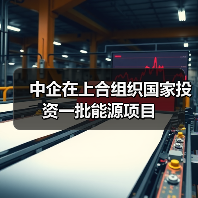 中企在上合组织国家投资一批能源项目(图4) 中企在上合组织国家投资一批能源项目(图4)
