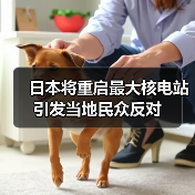 日本将重启最大核电站 引发当地民众反对(图3) 日本将重启最大核电站 引发当地民众反对(图3)