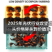 2025年光伏行业攻坚战:从价格厮杀到价值重构(图2) 2025年光伏行业攻坚战:从价格厮杀到价值重构(图2)