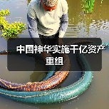 中国神华实施千亿资产重组(图1) 中国神华实施千亿资产重组(图1)