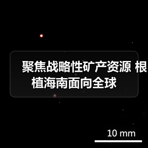 聚焦战略性矿产资源 根植海南面向全球（图2）