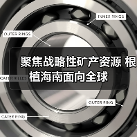 聚焦战略性矿产资源 根植海南面向全球（图3）