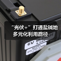“光伏+”打通盐碱地多元化利用路径(图1) “光伏+”打通盐碱地多元化利用路径(图1)