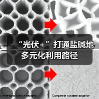 “光伏+”打通盐碱地多元化利用路径(图2) “光伏+”打通盐碱地多元化利用路径(图2)