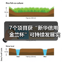 7个项目获“新华信用金兰杯”可持续发展实践成果奖(图4) 7个项目获“新华信用金兰杯”可持续发展实践成果奖(图4)