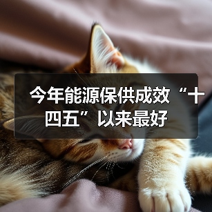今年能源保供成效“十四五”以来最好(图2) 今年能源保供成效“十四五”以来最好(图2)