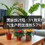 国家统计局:11月天然气生产同比增长5.7%(图3) 国家统计局:11月天然气生产同比增长5.7%(图3)
