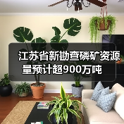 江苏省新勘查磷矿资源量预计超900万吨（图4）