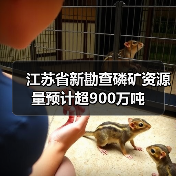 江苏省新勘查磷矿资源量预计超900万吨（图2）