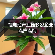 锂电池产业链多家企业满产满销(图3) 锂电池产业链多家企业满产满销(图3)