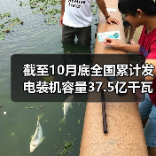 截至10月底全国累计发电装机容量37.5亿千瓦（图3）