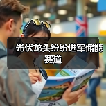 光伏龙头纷纷进军储能赛道（图4）