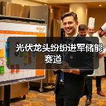 光伏龙头纷纷进军储能赛道（图1）