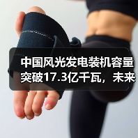 中国风光发电装机容量突破17.3亿千瓦,未来如何实现2035目标?(图4) 中国风光发电装机容量突破17.3亿千瓦,未来如何实现2035目标?(图4)