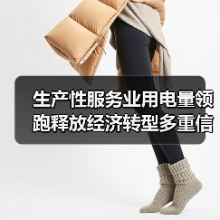 生产性服务业用电量领跑释放经济转型多重信号(图4) 生产性服务业用电量领跑释放经济转型多重信号(图4)