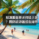 能源服务需求持续上涨?国际能源署报告揭示未来关键趋势(图1) 能源服务需求持续上涨?国际能源署报告揭示未来关键趋势(图1)