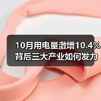 10月用电量激增10.4%背后三大产业如何发力?(图1) 10月用电量激增10.4%背后三大产业如何发力?(图1)
