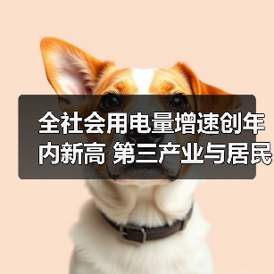 全社会用电量增速创年内新高 第三产业与居民用电双引擎驱动（图2）