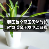 我国首个高压天然气长输管道余压发电项目投运,余压如何高效转化发电?(图4) 我国首个高压天然气长输管道余压发电项目投运,余压如何高效转化发电?(图4)