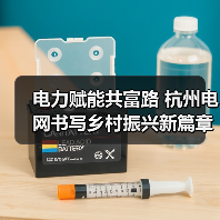 电力赋能共富路 杭州电网书写乡村振兴新篇章(图3) 电力赋能共富路 杭州电网书写乡村振兴新篇章(图3)