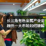 长三角有色金属产业金融统一大市场如何破解产业链堵点?(图2) 长三角有色金属产业金融统一大市场如何破解产业链堵点?(图2)