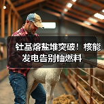 钍基熔盐堆突破!核能发电告别铀燃料(图2) 钍基熔盐堆突破!核能发电告别铀燃料(图2)