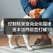 控制核聚变商业化提速:资本加持能否打破50年魔咒?(图2) 控制核聚变商业化提速:资本加持能否打破50年魔咒?(图2)