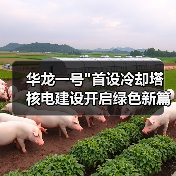 华龙一号