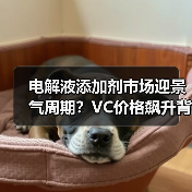 电解液添加剂市场迎景气周期？VC价格飙升背后原因揭秘（图3）