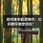 迎峰度冬能源保供:如何确保稳定供应?(图3) 迎峰度冬能源保供:如何确保稳定供应?(图3)