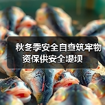 秋冬季安全自查筑牢物资保供安全堤坝（图3）